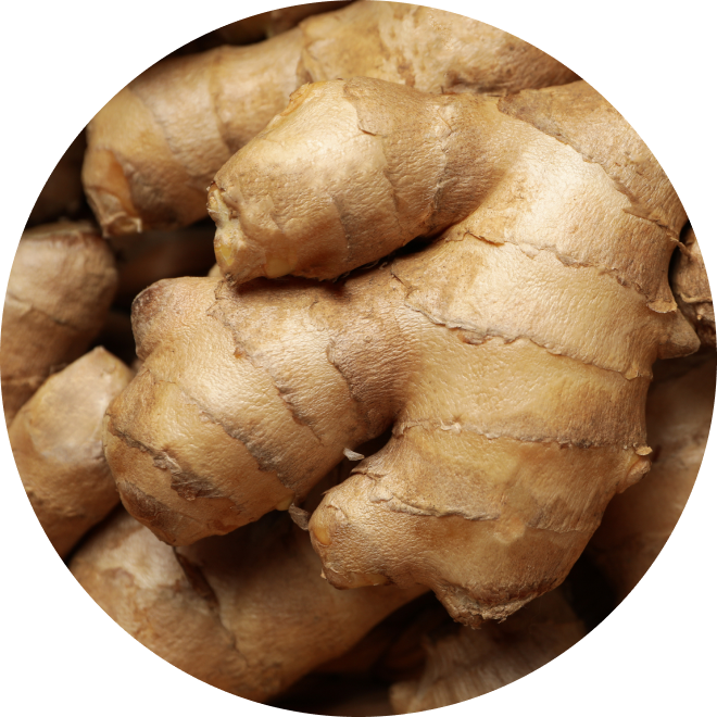 Ingredient Glossary - Ginger Root