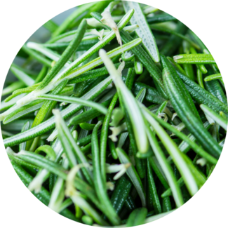Rosemary needles