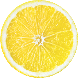 Fruit Slice - Yuzu Representation